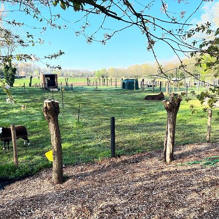 Hoeve Hooierzele Waasmunster Bagian luar foto