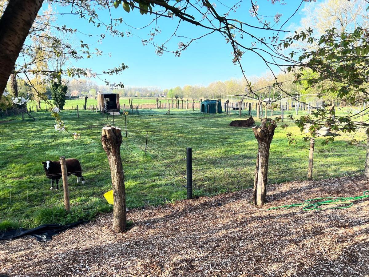 Hoeve Hooierzele Waasmunster Bagian luar foto