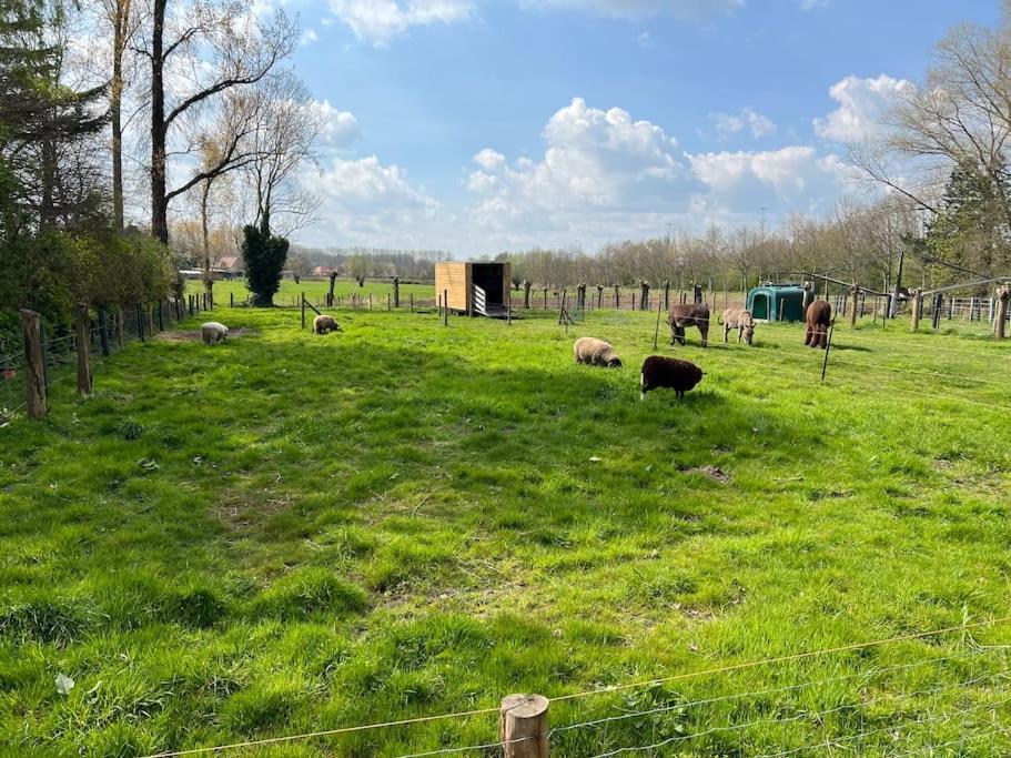 Hoeve Hooierzele Waasmunster Bagian luar foto